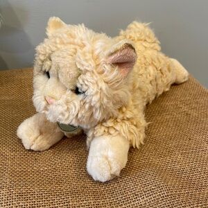 Adorable beige kitty cat laying down super cute